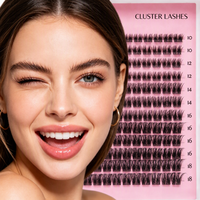 540 Cluster 30D-100D Ketebalan Campuran 8mm-16mm Buku Tray Bulu Mata Palsu Grosir Distributor Kecantikan Suplai Bulu Mata
