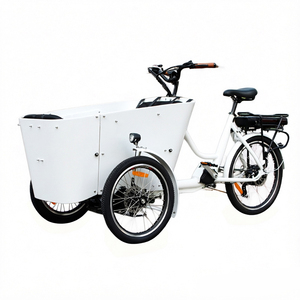 Vélo de livraison du dernier kilomètre CE 250W 500W à 3 roues, vélo électrique urbain avec <span class=keywords><strong>porte</strong></span> latérale/avant, 6 vitesses, OEM - Product Image 1