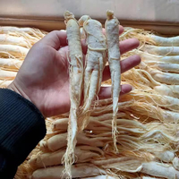 Racine de ginseng séchée naturelle aux herbes chinoises Racine de ginseng blanc de qualité supérieure