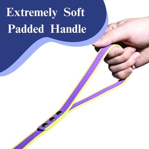 Laisse pour chien en PVC rayé, durable et imperméable, longue laisse d'entraînement pour l'appel et le camping - Product Image 2