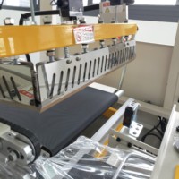 JIAQIAN Machine automatique d'emballage rétractable pour fruits, noix de coco Machine d'emballage rétractable pour concombre