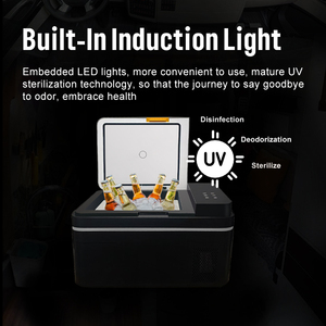 Evrensel 12V 24V 220V elektrikli Camper buzdolabı açık kamp araba çadırı soğutucu ve dondurucu kompresör ile 20L 25L 30L buz yapım makinesi kutuları - Product Image 5