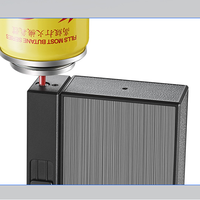 Étui à cigarettes DEBANG avec étui à cigarettes briquet pouvant contenir 20 cigarettes avec briquet coupe-vent rechargeable Butane