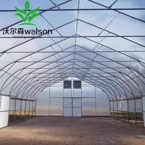 Economic Single Span 200 Micron Film High Poly Tunnel Greenhouse For Vegetable