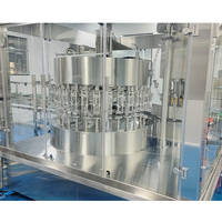 Automatische productielijn voor sinaasappelsap (1000-30000 BPH), turnkey project