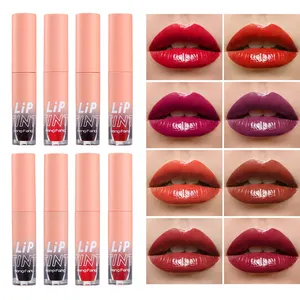 OEM Custom ized Private Label Matte Lip Tint Flüssigkeit Hochwertige wasserdichte Lip gloss Hot Sale Produkte