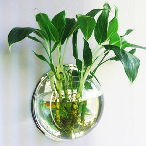 Fabricant Personnalisé OEM/ODM Acrylique Mur Fish Tank Aquarium Bulle Fish Tank Décor Planteur pour Plante Poisson Ecosphère Décor - Product Image 5