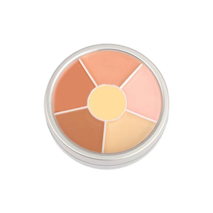 Full <strong>Coverage</strong> Whitening Natural Moisturizer Cream 6 Colors 5-in-<strong>1</strong> Multi-Use Concealer Palette - Product Image 5