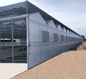 Serra Agricola Personalizzata con Struttura in Acciaio Zincato a Caldo Tipo Venlo - Product Image 1
