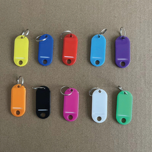 Étiquettes de clés en plastique multicolores vierges avec anneau fendu, étiquettes d'identification de clés à inscrire pour le marquage des noms de bagages - Product Image 1