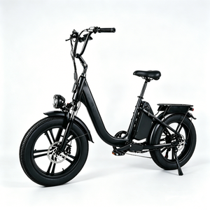 Vélo électrique de ville pour femmes de 20 pouces avec <span class=keywords><strong>prix</strong></span> d'usine, vélo électrique <span class=keywords><strong>750</strong></span> watts 48V, vélo hybride électrique pour femmes - Product Image 2
