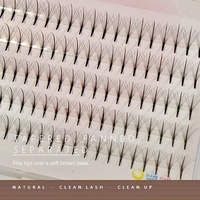 Extensions de cils en bouquets pré-faits 10D en gros, cils individuels sans nœuds, doux, marque privée, logo personnalisé, fournitures pour cils