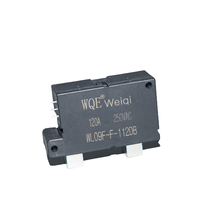 Relais électromagnétiques à verrouillage magnétique WQE-WL09F-F-112DB (120A)-RELAY-12V 24V 2PIN 3PIN 1.8W 3.6W SPSTNO SPSTNC PCB