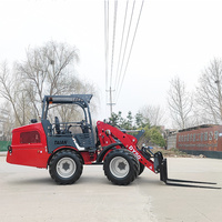 Neues Produkt DY50 Mini-Frontlader Taian Marke Kleineradlader