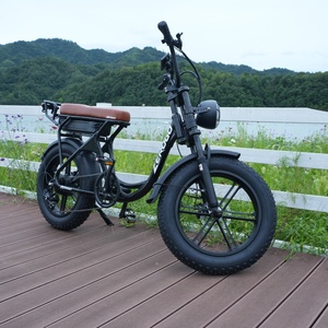 Zerogo 2025 V3 Bicicleta Eléctrica de Montaña de Estilo Retro con Doble Motor y Doble Batería de 48v 15ah, Suspensión Completa, 250w, Precio de Fábrica, Color V3 Sc - Product Image 3