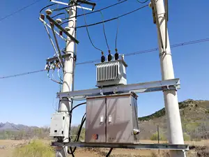 10KVA-1600KVA שנאי שקועים בשמן עבור העברת חשמל יעילה