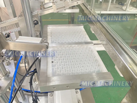 Machine automatique de remplissage et de bouchage de seringues en verre pour seringues préremplies sous vide, ligne de conditionnement de gel acide