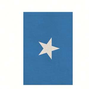 Drapeau de la Somalie de haute qualité, fanion extérieur de 12*18 pouces, plus de styles au choix - Product Image 1