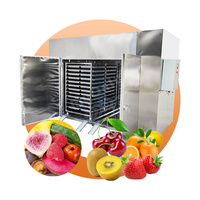 Industriële commerciële hoogtemperatuur PLC-gestuurde SUS304 materiaal vriesdroogmachine voor okra, fruit en copra, gasgestookt.