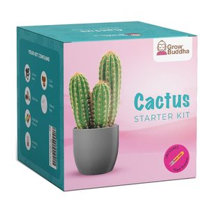 Kit <span class=keywords><strong>de</strong></span> démarrage pour graines <span class=keywords><strong>de</strong></span> <span class=keywords><strong>cactus</strong></span> |   Kit complet <span class=keywords><strong>de</strong></span> <span class=keywords><strong>cactus</strong></span> d'intérieur pour débutants, facile à cultiver, cadeau pour hommes et femmes - Product Image 1