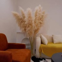 Grosir 2026 Produk Baru Terlaris Rumput Pampas Besar Kering untuk Latar Belakang Pernikahan Dekorasi Rumah Gaya Boho