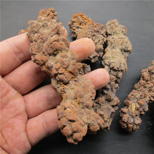 Venta al por mayor de heces de dinosaurio fósil curación cristal dinosaurio heces piedra para la venta - Product Image 5