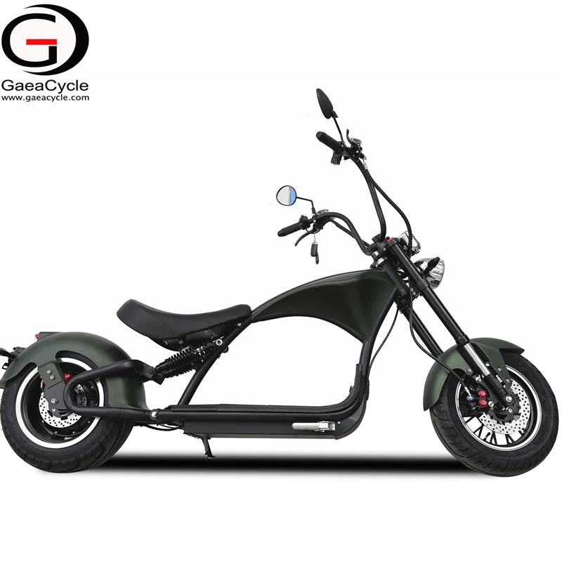 ヨーロッパの倉庫電動自転車スクーターGaeaM1p Citycoco Eスクーター、EEC45km/hストリートリーガル