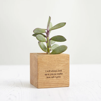 Support de pot de fleurs carré en bois de bambou naturel chromé moderne pour plantes, marque Taiwei, facile à utiliser, pour la maison, le bureau et le jardin