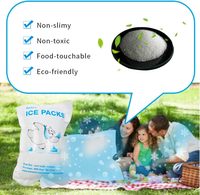 Pack de glace sèche en gel pour glacière alimentaire jetable en plastique personnalisable avec logo, feuille de congélation avec logo pour boîte à lunch
