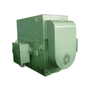 High voltage 3 Phase 630KW 495rpm YKK IP55 Asynchronous Industrial Squirrel Cage 6KV IEC IC611 Electric Induction Motor