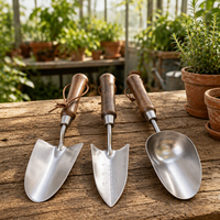 Outils de jardinage chinois, ensemble d'outils de jardinage de luxe pour la maison, le balcon et la plantation en jardin, ensemble d'outils de jardinage vintage