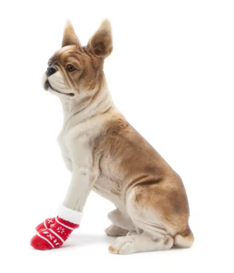 Chaussettes pour chiens et chats antidérapantes, personnalisées et confortables - Product Image 3