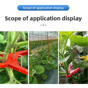 Clip de fixation en plastique pour semis suspendus, pour la fixation et le soutien des vignes de concombre et de <span class=keywords><strong>tomate</strong></span> en jardin - Product Image 4