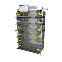 TUOYUN vente en gros cages à cailles de type H pour la production d'œufs
