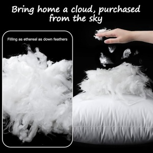 Insert d'<span class=keywords><strong>oreiller</strong></span> en fibre de polyester 20x20 pouces ultra doux et moelleux avec housse d'<span class=keywords><strong>oreiller</strong></span> en coton - Product Image 2