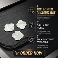 Accessoires de bijoux personnalisés en nacre, perles de coquillages en vrac