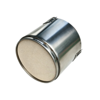 قطع غيار بديلة لفلتر DPF العادم للشاحنات الثقيلة OE 2141164 2179961 2269640 تناسب محرك الديزل يورو 6