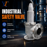 Válvula de Alivio de Presión de Acero Inoxidable Tipo Ángulo DN80 para Nitrógeno Líquido con Brida, Precio Competitivo