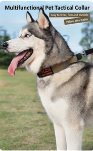 Neues Taktisches Outdoor-Hundehalsband aus Reflektierendem Leichtem Weichem Polyester für Große Hunde Training Großhandel - Product Image 6