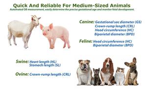 S0 Draagbare Veterinaire Ultrasone Machine Dierlijke Runderen Zwangerschap Scanner Veterinaire Bewakingsapparatuur - Product Image 4
