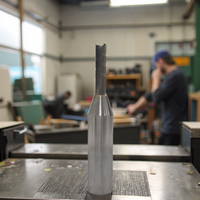 Vollhartmetall TCT 12,7mm 3-Schneidig 1/2 Zoll Gerade Fräser mit Spanbrecher für Holzbearbeitung OEM ODM Hochgeschwindigkeit