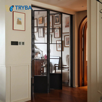 Marque de verre dépoli de fenêtre de porte en acier de style français élégant certifié pour les chambres de villa ouverture horizontale persienne de style pivotant