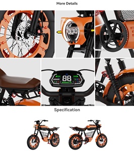 Vélo Tout-Terrain Longue Portée Rétro pour Adultes, Moto Électrique 750W 48V 13Ah, Pneus Larges pour Montagne, Neige, Plage KS - Product Image 6