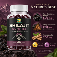 Gummies de Shilajit OEM, 60 unités, résine de Shilajit pure de l'Himalaya, saveur végétalienne délicieuse, Shilajit Puro Original pour hommes et femmes