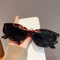 Nouvelles Lunettes de Soleil Femme Style Œil de Chat 2026, Protection UV400, Monture Intégrale, Lunettes de Protection Solaire d'Été