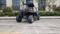 Buggy tout-terrain 200CC 4X2 / Buggy de dune / Karting EEC