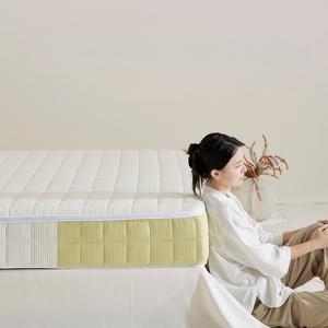 Modern Hotel Cloud Feeling Soft Mattress Memory Foam Roll-Up Mattress <b>Compress</b> <b>Spring</b> Mattress Bed Comfortable Matress King Size - Product Image 3
