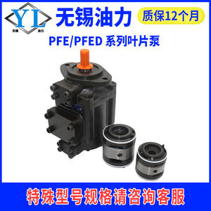 Pompe à palettes de type Atos Yuci PFE-21010310164104551150-1DT Pompe à huile hydraulique Catégorie de produit Pompes hydrauliques - Product Image 3