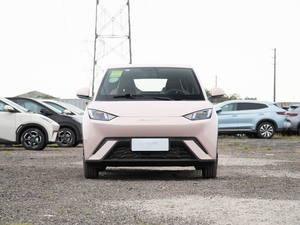 Suministro al por mayor BYD Seagull 2024 Vitality Honor Edition 305km Vehículo Pequeño de Nueva Energía de Bajo Costo Eléctrico Puro Coches Usados - Product Image 3