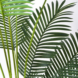 Vente en gros Grand palmier artificiel vert pour décoration de salon Grande plante artificielle de <span class=keywords><strong>luxe</strong></span> en matériau PE - Product Image 5